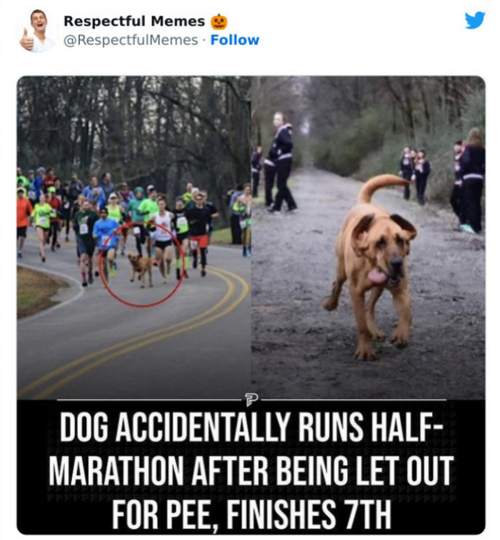 9. Some Are More Susceptible to Peer Pressure Than Others