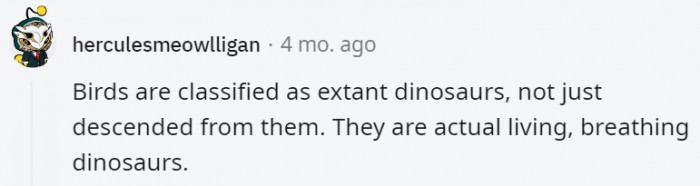 34. Birds are the modern day dinos