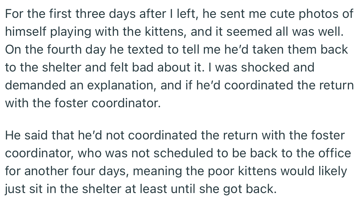Everything Was Going Fine for the First Three Days Until OP’s Husband Informed Her That He Had Returned the Kittens to the Shelter. Worst of All, He Didn’t Coordinate the Return with the Foster Coordinator