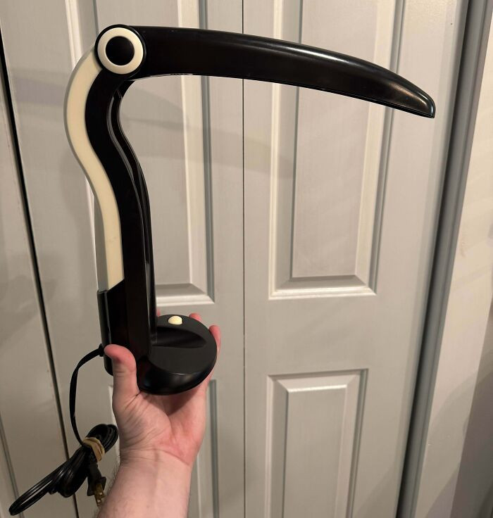 "Found A Black & White Toucan Lamp!"