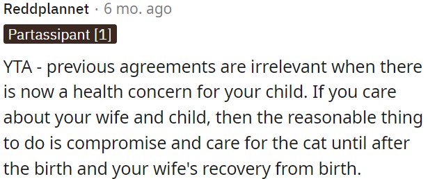 To show care for his girlfriend and child, a compromise is needed, which involves taking care of the cat until after the birth and his girlfriend's recovery.
