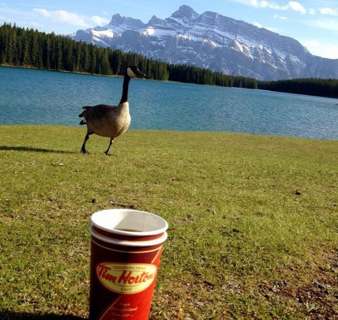 Just an ordinary day in Canada