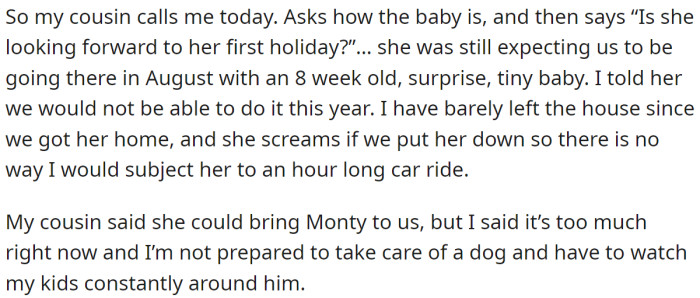 The cousin couldn't understand the OP's personal burdens: