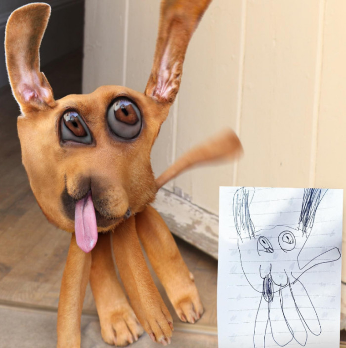 11. A crazy doggo who looks more like a starfish than a dog