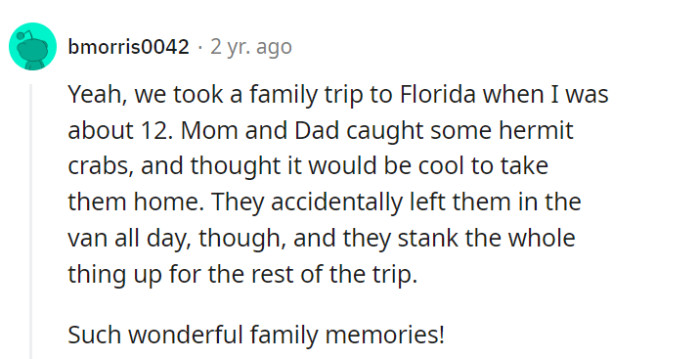 The family's hermit crab escapade in Florida: A vacation that left a lasting 'scent-sational' impression and surely some 'crabby' memories!