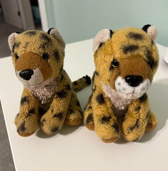 "My Daughter’s Favorite Stuffed Animal “Scratch” vs. The New Backup Replacement"