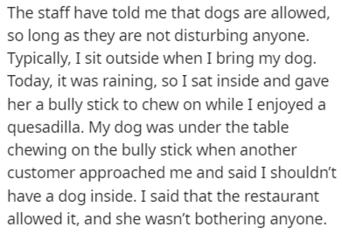 The staff of the restaurant told OP that dogs are allowed as long as they don't bother anyone