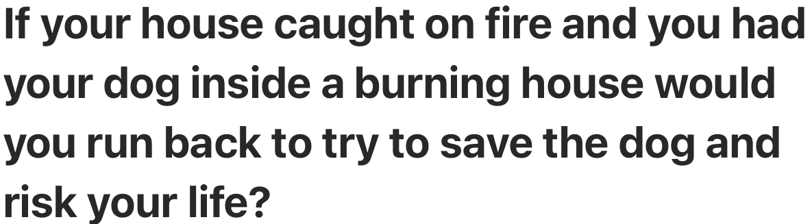 Time to Find Out How Far People Would Go for Their Dogs