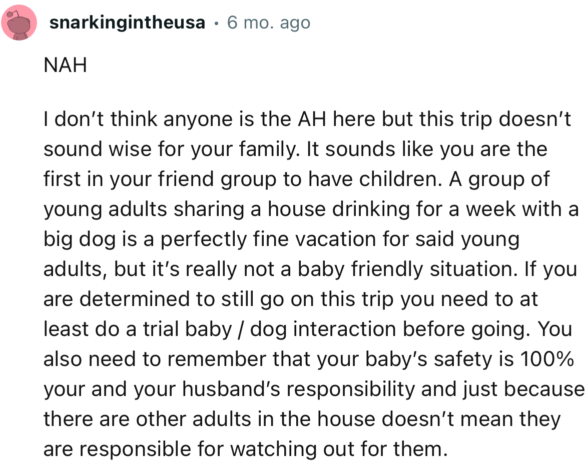 “I don’t think anyone is the AH here, but this trip doesn’t sound wise for your family. It sounds like you are the first in your friend group to have children.”