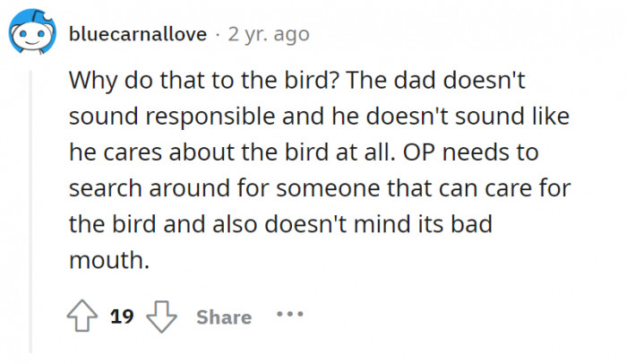OP has to find someone who will care for the bird. That someone should also not mind the cursing that is to come.