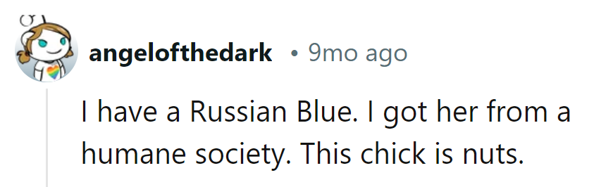 From shelter chic to certified crazy cat lady. What a purrfect upgrade!