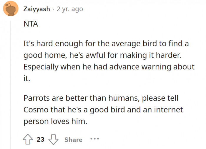 The advance warning should’ve helped. Indeed, parrots are better than humans.