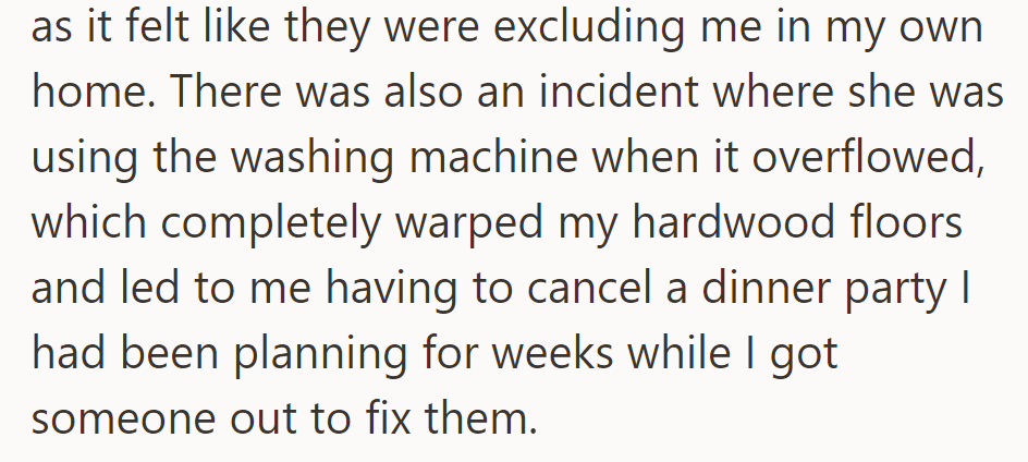 OP felt excluded when Ellie cooked without inviting her, and a washing machine incident caused by Ellie led to canceled plans.