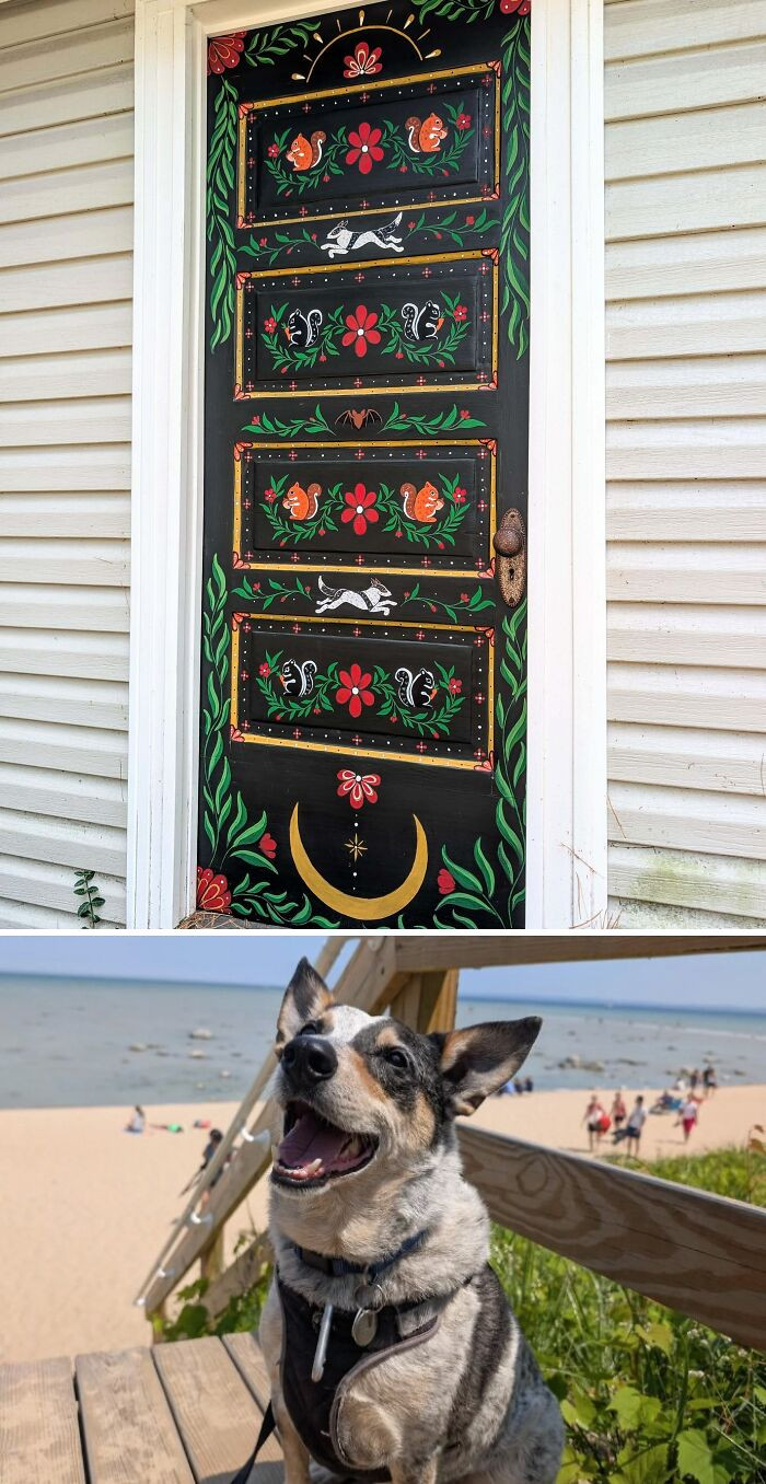 "Our Back Door Now Tells A Story Of Our Dog And The Neighborhood Wildlife"