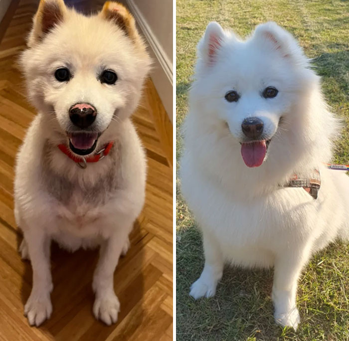 "Here's A Comparison From A Few Years Ago"