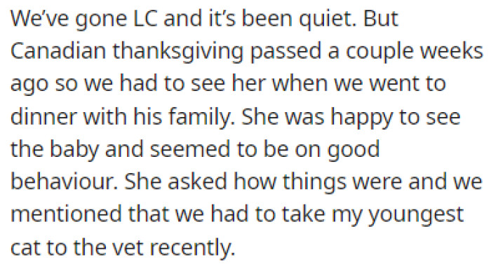 OP told her mother-in-law how they had to take their youngest cat to the vet