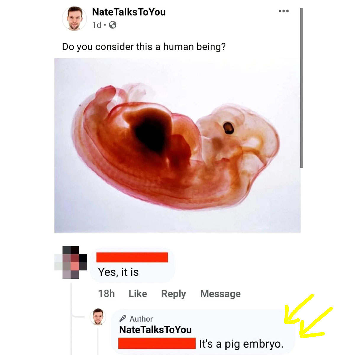 We definitely didn’t expect such an ending. Anyway, we are all mammals.