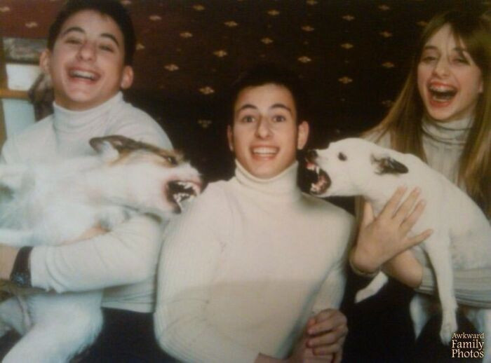 "Dogs Not In A Holly Jolly Mood"