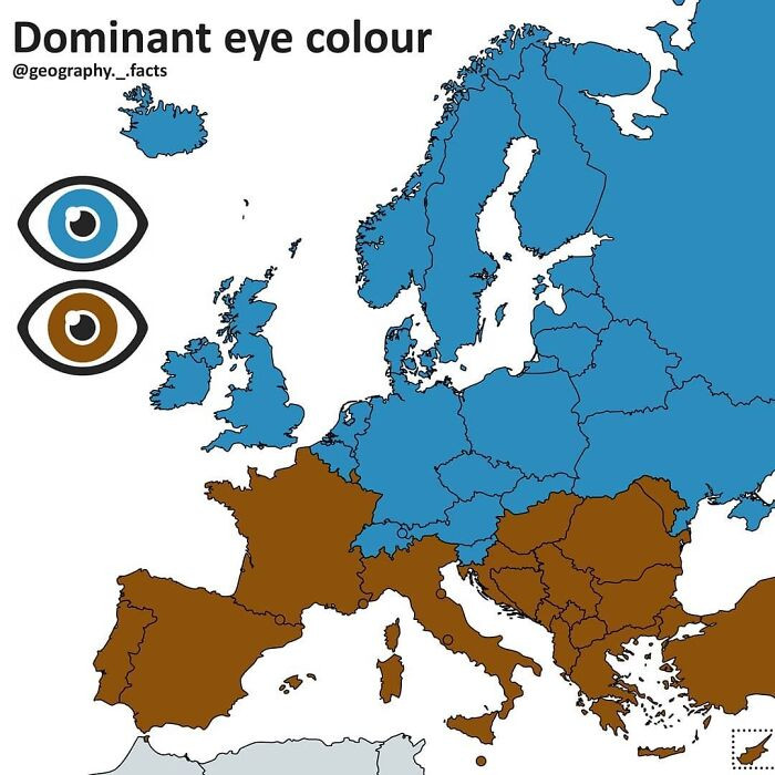 8. Dominant Eye Color