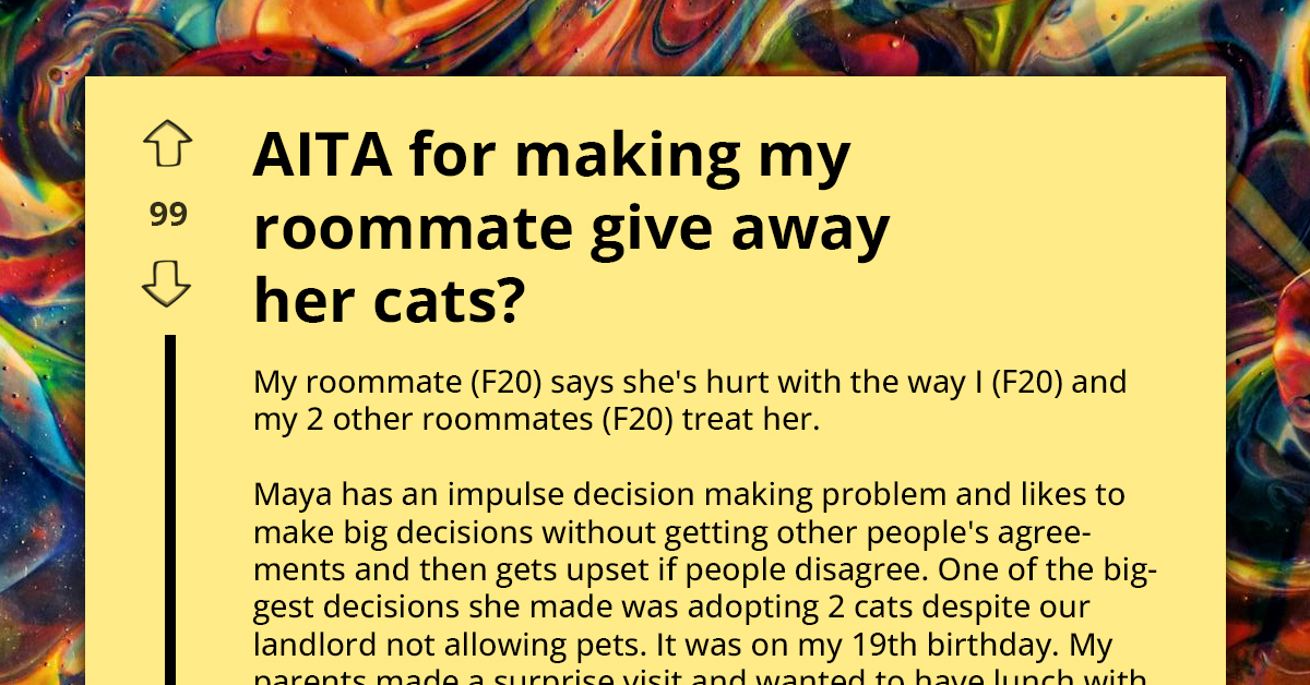 Was I Wrong To Demand My Roommate Give Away Her Cats
