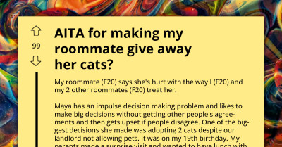 Was I Wrong To Demand My Roommate Give Away Her Cats