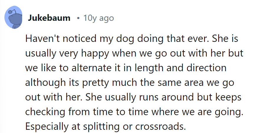 Their dog's the designated tour guide on their outings, always checking in to ensure they're headed in the right direction!