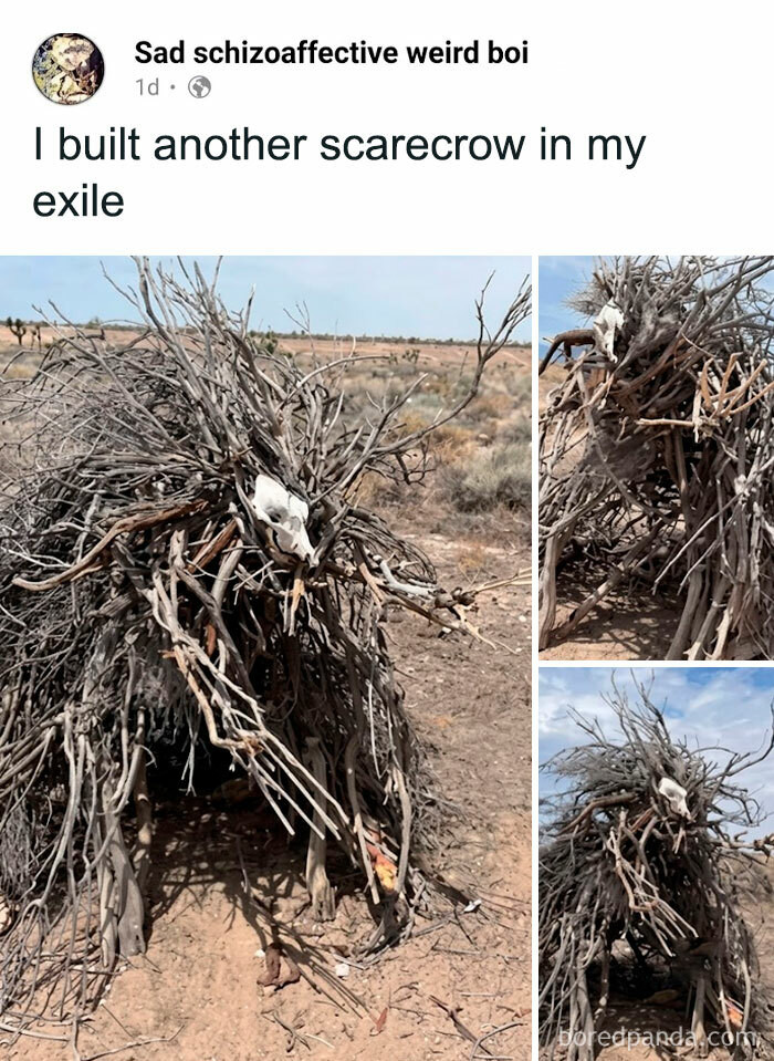 "The Windiscrow: Protector Of The Exiled One"