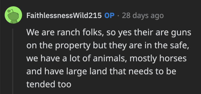 OP did admit that they have guns, but those are safely stowed away