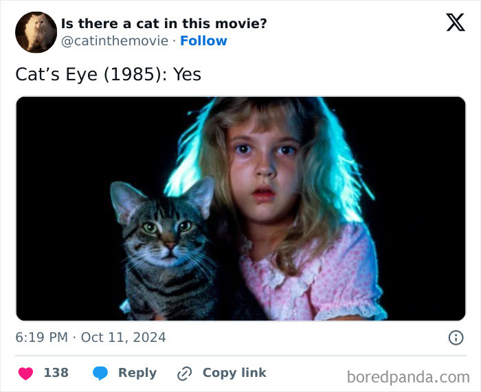 Movie titles including An Obsession Like No Other, The Hunger Games, cats focus