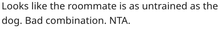 7. His roommate lacks training like the dog.