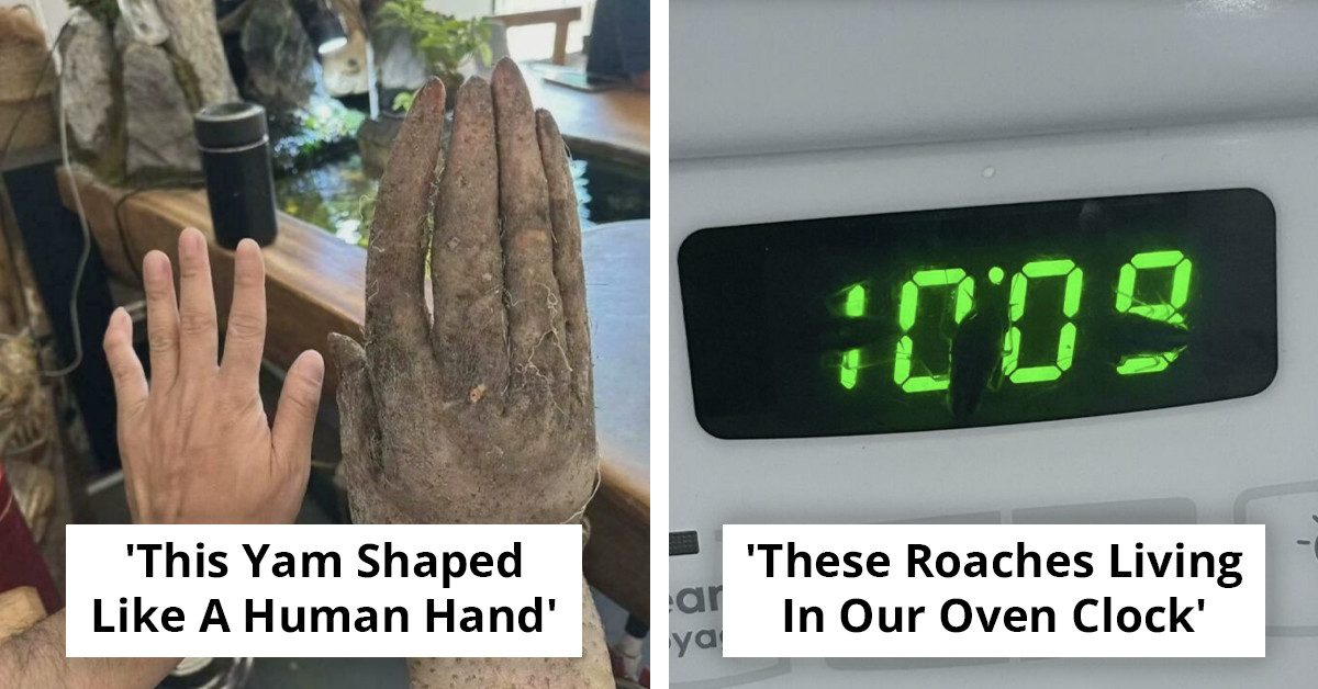 63 Photos That Will Mess With Your Head