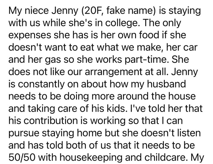 OP's niece constantly complains about how the husband doesn't do enough around the house.