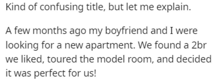 OP and Her Boyfriend Have Been Looking for a New Apartment and They Found the Perfect One