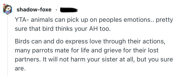 “YTA- animals can pick up on peoples emotions.. pretty sure that bird thinks your AH too.”