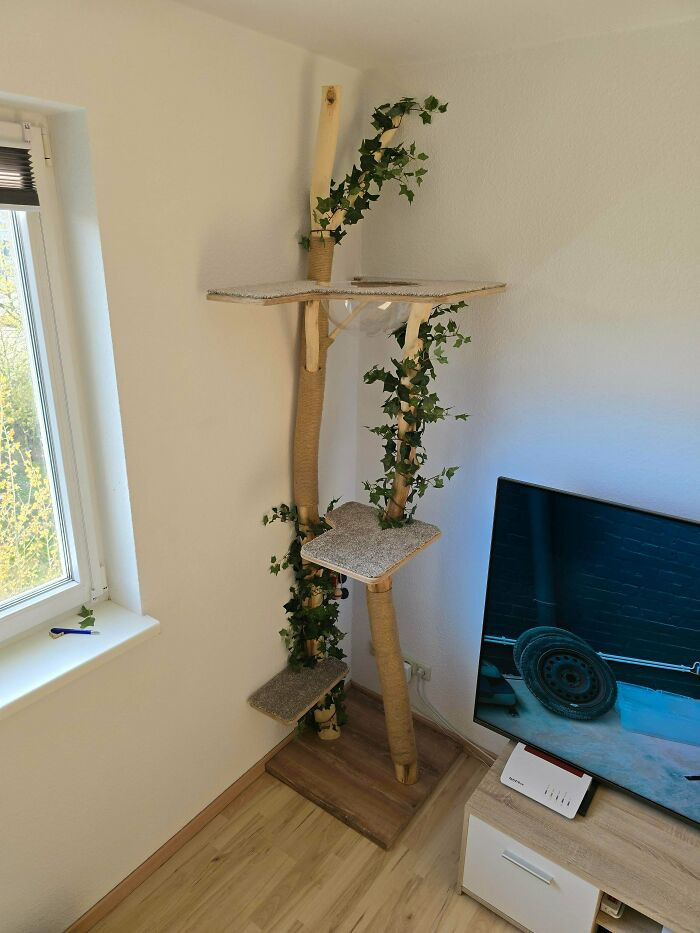 "My First DIY Cat Tree Made From Real Wood 🐱"