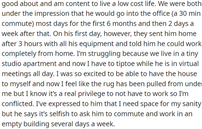 He was supposed to go to the office most days, but he got sent home to work remotely; the tiny apartment makes it tough for OP as he's in virtual meetings all day.