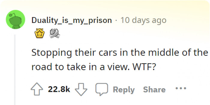 7. Apparently, traffic laws are non-existent when you go out of your own country.