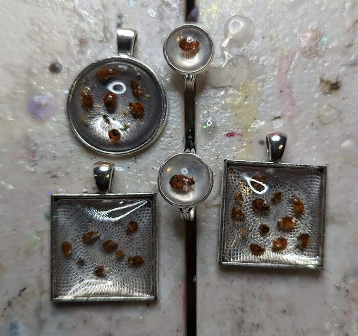 30. Yes, those are bed bugs