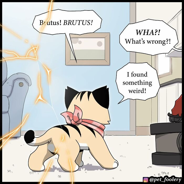 Found Something Weird