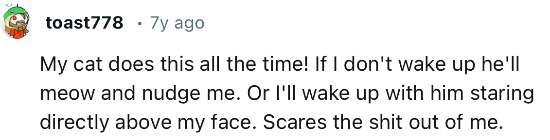 “My cat does this all the time! If I don't wake up, he'll meow and nudge me.”