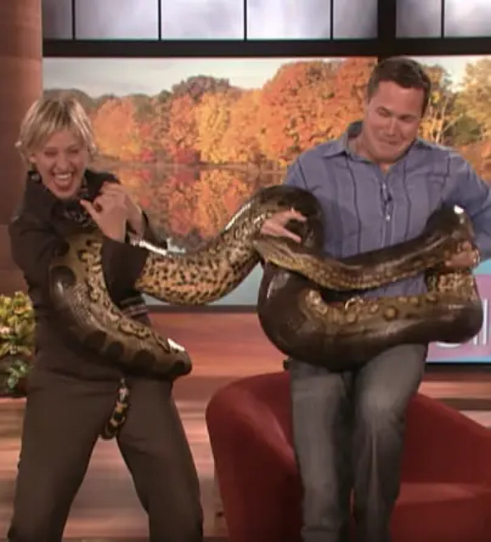 18. Moment when this happened while Ellen was interviewing Jeff Corwin on her show