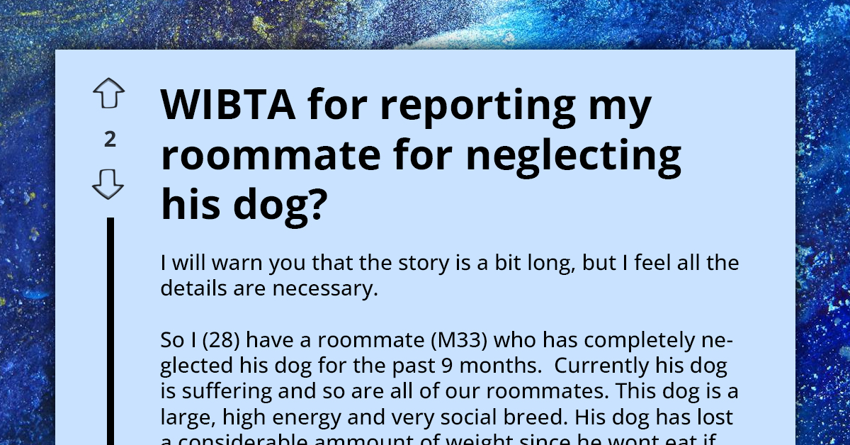 Concerned Redditor Reports Roommate For Neglecting His High-Energy, Social Dog For Nine Months