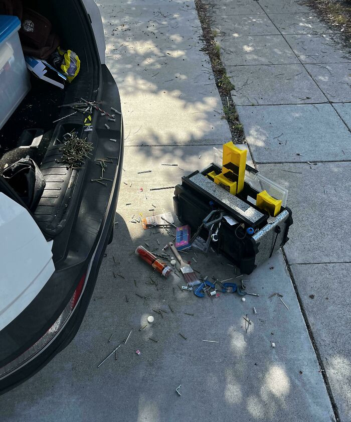 "Right As I Was About To Start My Handyman Job"