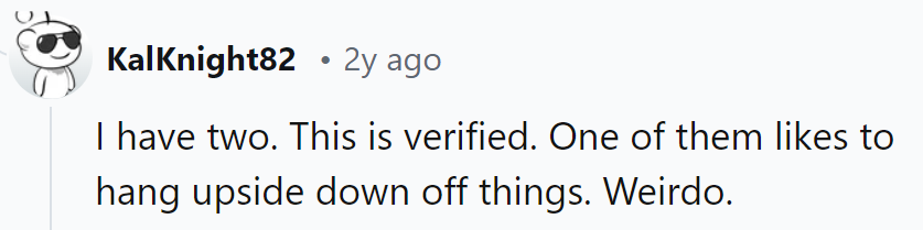 Seems like one of them marches to the beat of their own drum, even if it's an upside-down one. Quite the quirky duo!