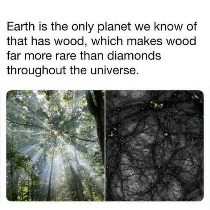 "Earth May Be The Only Known Planet With Wood"