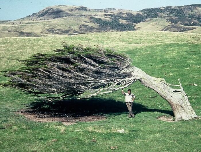 38. Slope Point marks the southernmost tip of New Zealand's South Island.