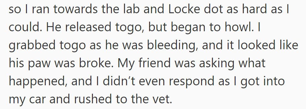 OP panicked to save Togo; he forcefully intervened, causing the lab to release him, and rushed to the vet.