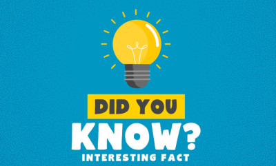 Random Trivia Questions Every Adult Should Know the Answers To