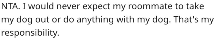 10. You shouldn't expect your roommate to care for your dog.