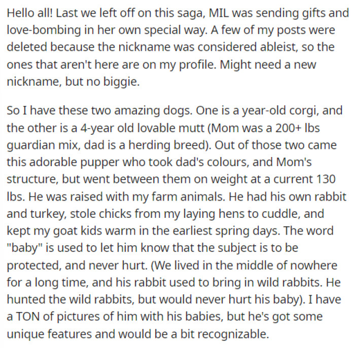 OP starts off by explaining that she is providing an update on a situation that happened before.